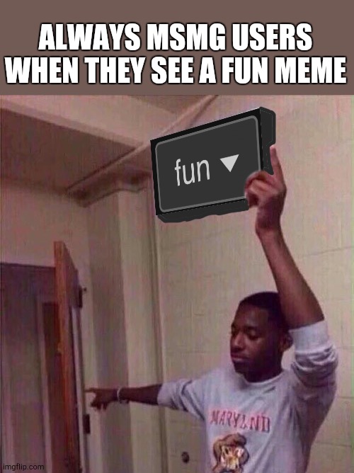 Go back to fun stream | ALWAYS MSMG USERS WHEN THEY SEE A FUN MEME | image tagged in go back to fun stream | made w/ Imgflip meme maker