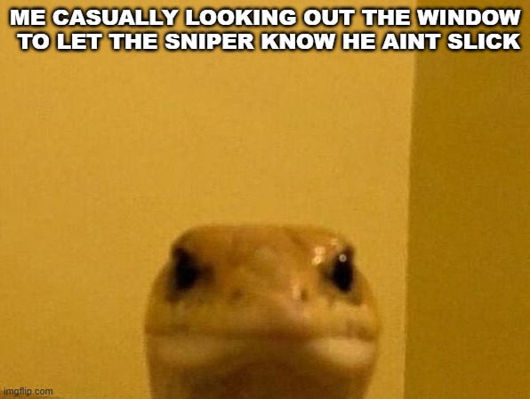 Funny Lizard | ME CASUALLY LOOKING OUT THE WINDOW  TO LET THE SNIPER KNOW HE AINT SLICK | image tagged in funny lizard | made w/ Imgflip meme maker