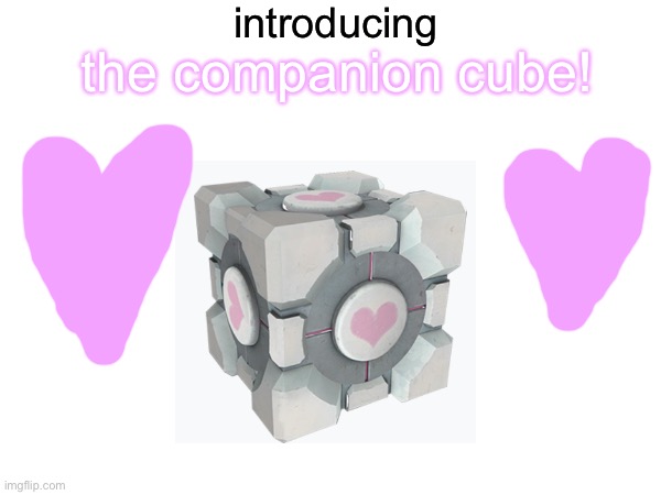 introducing the companion cube! | introducing; the companion cube! | image tagged in companion cube | made w/ Imgflip meme maker