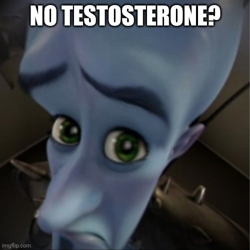 Megamind peeking | NO TESTOSTERONE? | image tagged in megamind peeking | made w/ Imgflip meme maker