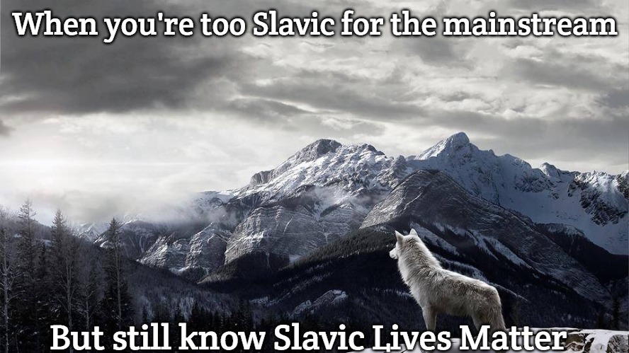 Lone Wolf | When you're too Slavic for the mainstream; But still know Slavic Lives Matter | image tagged in lone wolf,slavic wolf | made w/ Imgflip meme maker