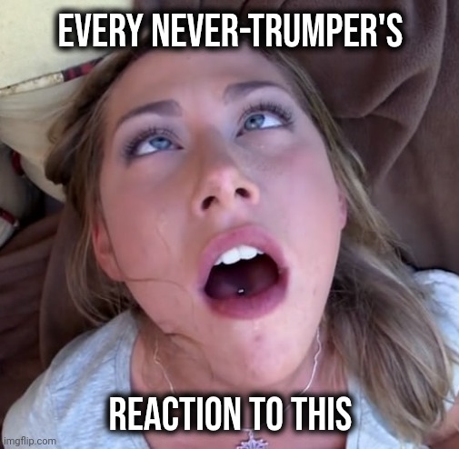 O face | Every Never-trumper's reaction to this | image tagged in o face | made w/ Imgflip meme maker