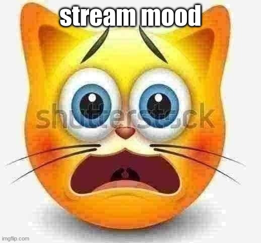 scared cat emoji | stream mood | image tagged in scared cat emoji | made w/ Imgflip meme maker