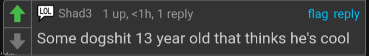 Dogshit 13 year old | image tagged in dogshit 13 year old,msmg | made w/ Imgflip meme maker