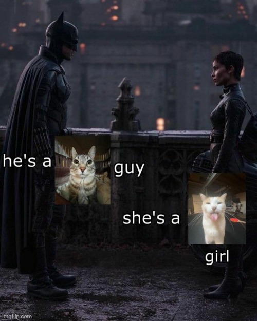 Blehhhhh | made w/ Imgflip meme maker