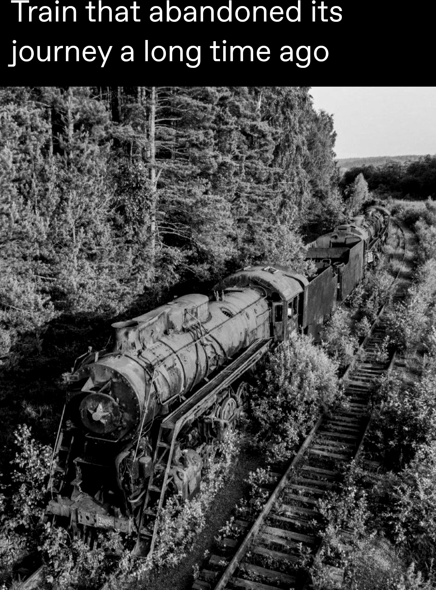 Train Blank Meme Template