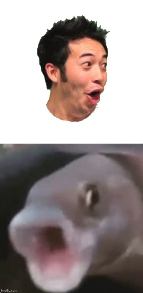 image tagged in poggers,poggers fish | made w/ Imgflip meme maker