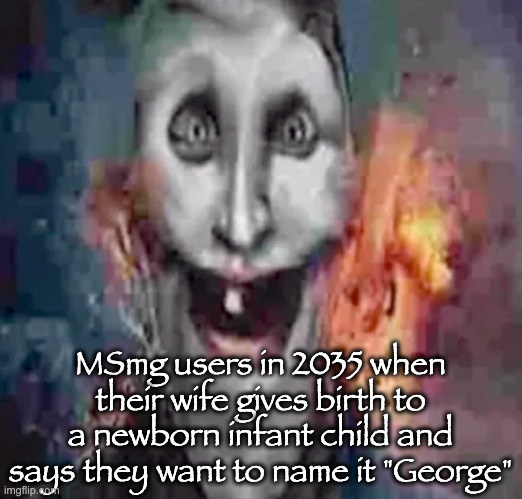 MSmg users in 2035 when their wife gives birth to a newborn infant child and says they want to name it "George" | made w/ Imgflip meme maker