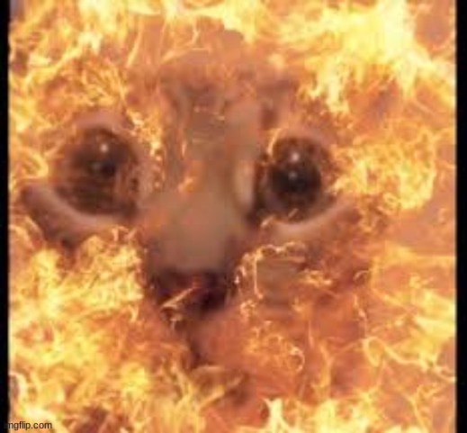 help im burning | made w/ Imgflip meme maker
