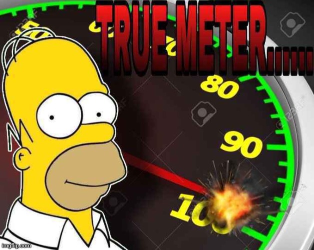 true meter | image tagged in true meter | made w/ Imgflip meme maker