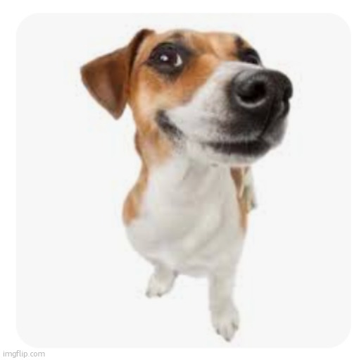 Wenomacheinsama | image tagged in wenomacheinsama | made w/ Imgflip meme maker