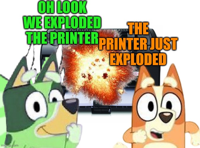 Freddie Schrödinger and Bingo Heeler have Just Exploded the Printer | OH LOOK WE EXPLODED THE PRINTER; THE PRINTER JUST EXPLODED | image tagged in blank white template,printer | made w/ Imgflip meme maker