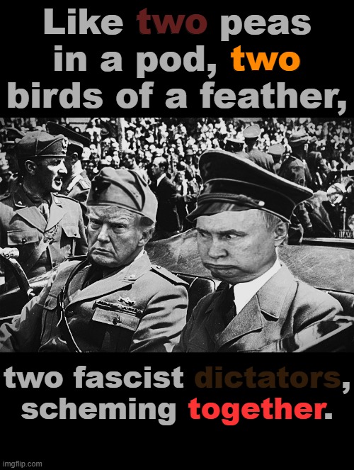 Mango Mussolini will take the fight to Tsar Pootin... By giving Pootin everything he wants because Pootin respects Donny boy? | two; Like two peas in a pod, two birds of a feather, two; dictators; two fascist dictators, scheming together. together | image tagged in memes,trump,putin,mein failure | made w/ Imgflip meme maker