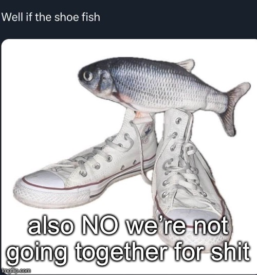 shoe fish | also NO we’re not going together for shit | image tagged in shoe fish | made w/ Imgflip meme maker