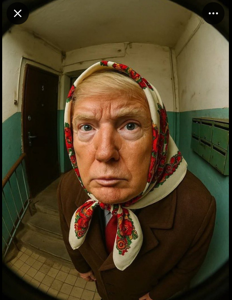 Trump peephole Blank Meme Template