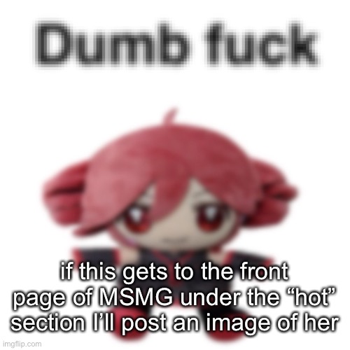 I have one yes | if this gets to the front page of MSMG under the “hot” section I’ll post an image of her | image tagged in dumb fuck | made w/ Imgflip meme maker