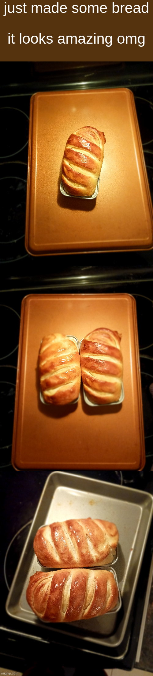 fresh out my oven | just made some bread
 
it looks amazing omg | made w/ Imgflip meme maker