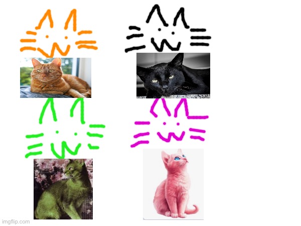 Burger cat irl | made w/ Imgflip meme maker