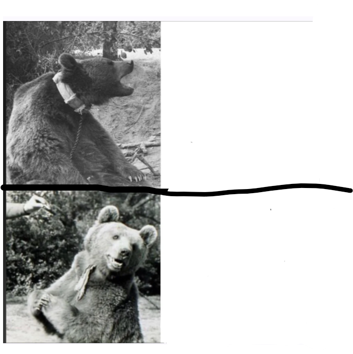 Wojtek Drake Meme Blank Meme Template