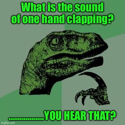 raptor | What is the sound of one hand clapping? ……………..YOU HEAR THAT? | image tagged in raptor | made w/ Imgflip meme maker