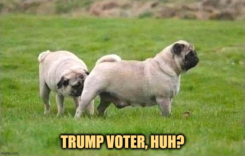 TRUMP VOTER, HUH? | image tagged in trump,stinks,dogs,smell | made w/ Imgflip meme maker