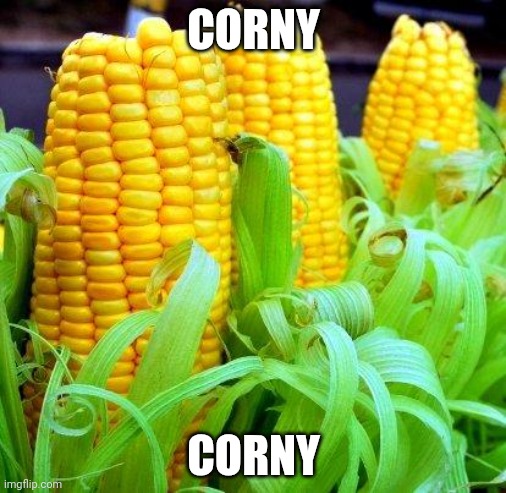 CORN meme | CORNY CORNY | image tagged in corn meme | made w/ Imgflip meme maker