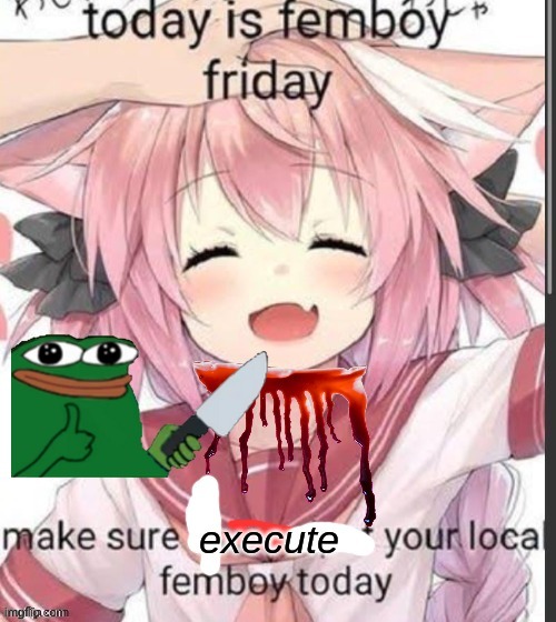 execute your local femboy | image tagged in execute your local femboy | made w/ Imgflip meme maker