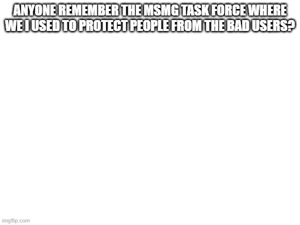 ANYONE REMEMBER THE MSMG TASK FORCE WHERE WE I USED TO PROTECT PEOPLE FROM THE BAD USERS? | made w/ Imgflip meme maker