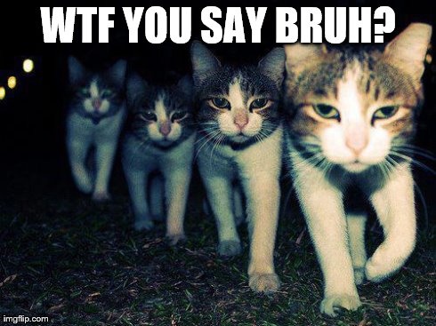 Wrong Neighboorhood Cats | WTF YOU SAY BRUH? | image tagged in memes,wrong neighboorhood cats | made w/ Imgflip meme maker