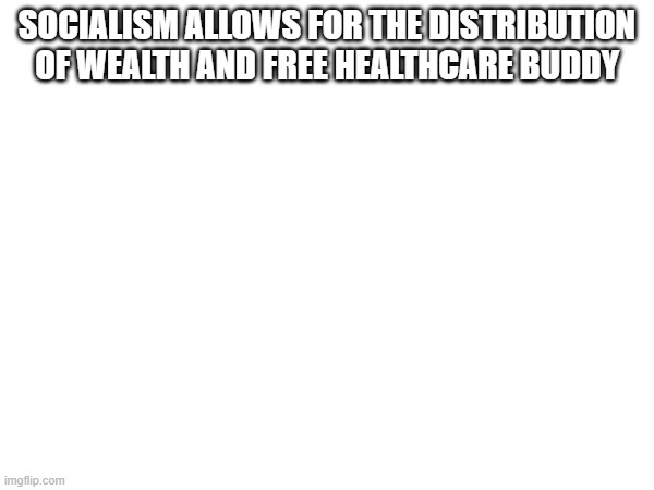 SOCIALISM ALLOWS FOR THE DISTRIBUTION OF WEALTH AND FREE HEALTHCARE BUDDY | made w/ Imgflip meme maker