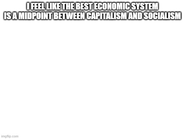I FEEL LIKE THE BEST ECONOMIC SYSTEM IS A MIDPOINT BETWEEN CAPITALISM AND SOCIALISM | made w/ Imgflip meme maker