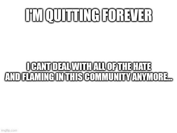 :( | I'M QUITTING FOREVER; I CANT DEAL WITH ALL OF THE HATE AND FLAMING IN THIS COMMUNITY ANYMORE... | made w/ Imgflip meme maker