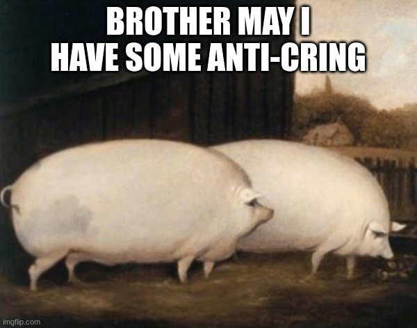 Brother, May I Have Some Oats | BROTHER MAY I HAVE SOME ANTI-CRING | image tagged in brother may i have some oats | made w/ Imgflip meme maker