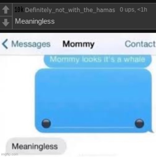 made w/ Imgflip meme maker