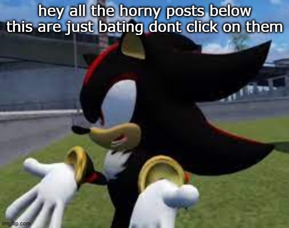 shadow explaining | hey all the horny posts below this are just bating dont click on them | image tagged in shadow explaining | made w/ Imgflip meme maker