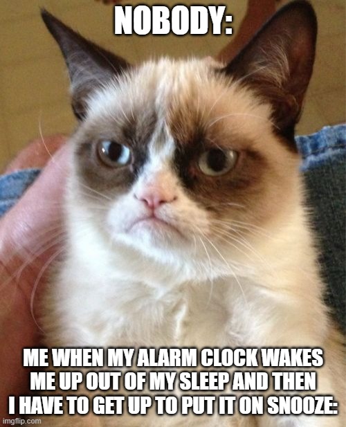 Grumpy Cat | NOBODY:; ME WHEN MY ALARM CLOCK WAKES ME UP OUT OF MY SLEEP AND THEN I HAVE TO GET UP TO PUT IT ON SNOOZE: | image tagged in memes,grumpy cat | made w/ Imgflip meme maker