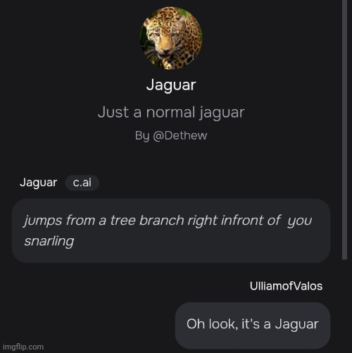made w/ Imgflip meme maker