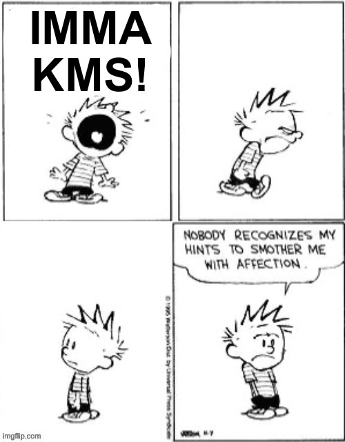 Nobody recognizes my hints to smother me with affection | IMMA
KMS! | image tagged in nobody recognizes my hints to smother me with affection | made w/ Imgflip meme maker