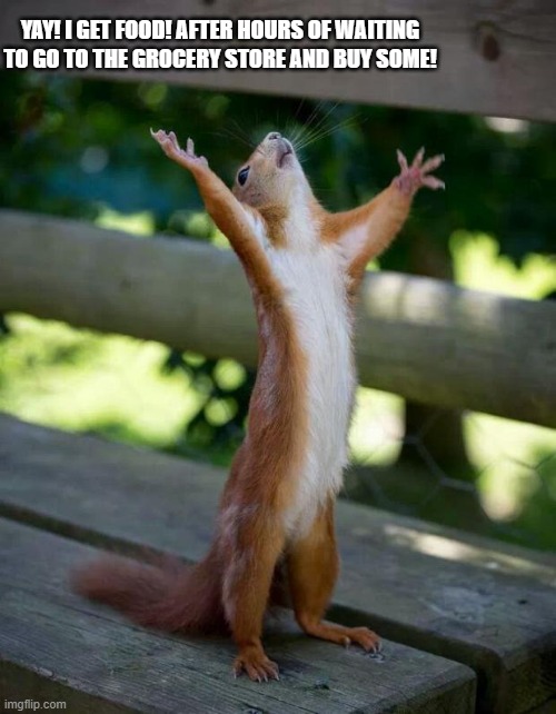 Happy Squirrel | YAY! I GET FOOD! AFTER HOURS OF WAITING TO GO TO THE GROCERY STORE AND BUY SOME! | image tagged in happy squirrel | made w/ Imgflip meme maker