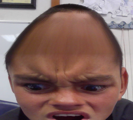 EGGHEAD Blank Meme Template