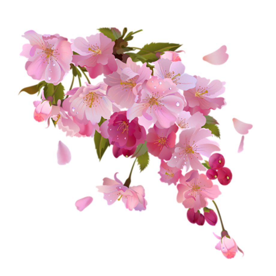 flowers Blank Meme Template