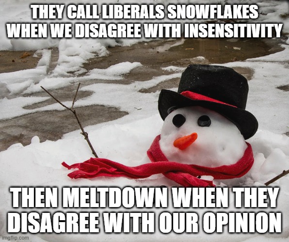 THEY CALL LIBERALS SNOWFLAKES WHEN WE DISAGREE WITH INSENSITIVITY; THEN MELTDOWN WHEN THEY DISAGREE WITH OUR OPINION | made w/ Imgflip meme maker