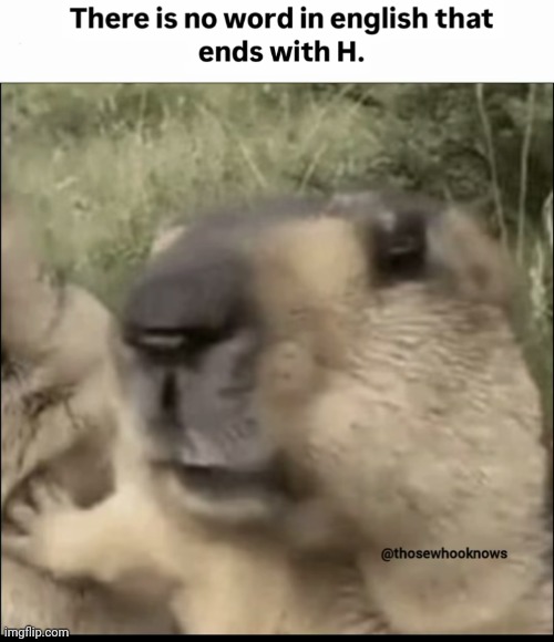Oh...maybe we will find where it's  with | made w/ Imgflip meme maker