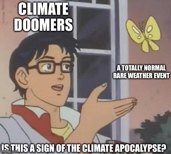 is this butterfly | CLIMATE DOOMERS; A TOTALLY NORMAL RARE WEATHER EVENT; IS THIS A SIGN OF THE CLIMATE APOCALYPSE? | image tagged in is this butterfly | made w/ Imgflip meme maker