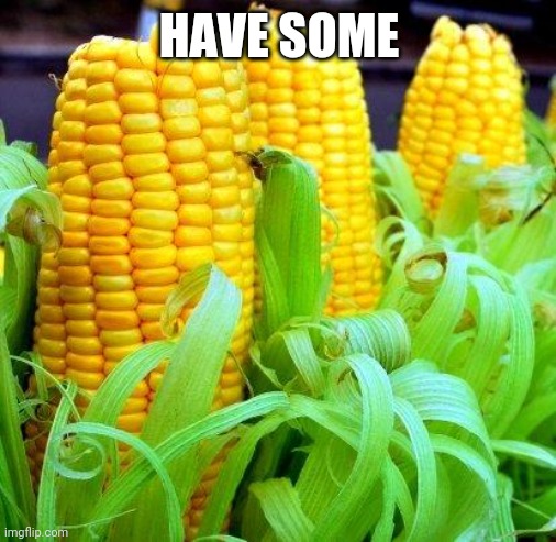 CORN meme | HAVE SOME | image tagged in corn meme | made w/ Imgflip meme maker