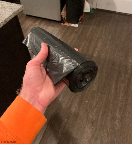 I FOUND A ROLL OF OUTDOOR TRASH BAGS ON THE SIDE OF THE ROAD | made w/ Imgflip meme maker