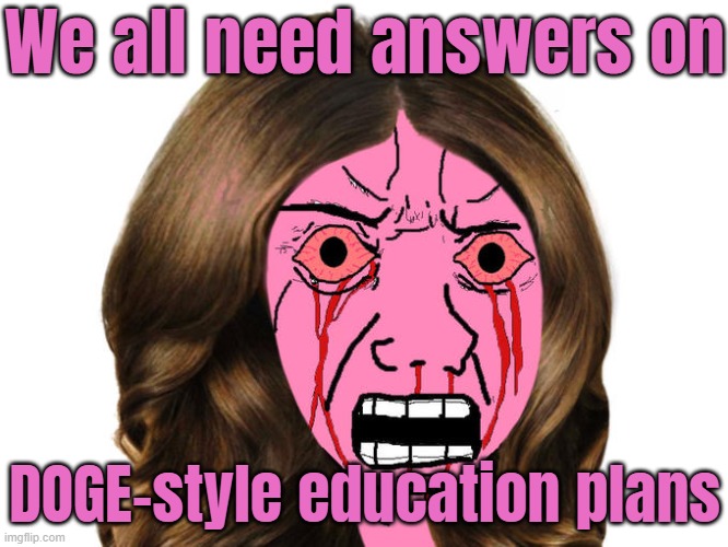 We all need answers on DOGE-style education plans | We all need answers on; DOGE-style education plans | image tagged in pink angry female wojak,doge,donald trump,elon musk,liberal vs conservative,education | made w/ Imgflip meme maker