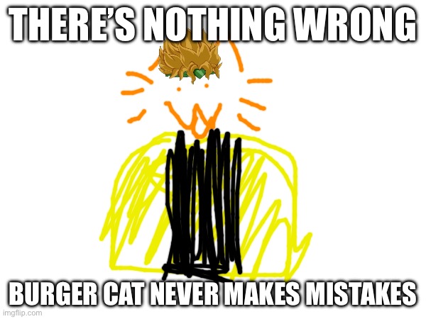 THERE’S NOTHING WRONG; BURGER CAT NEVER MAKES MISTAKES | made w/ Imgflip meme maker