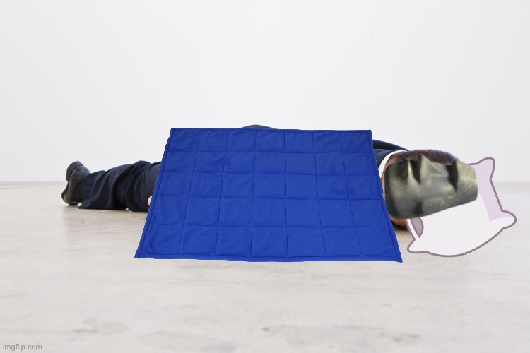 Sleep Blank Meme Template