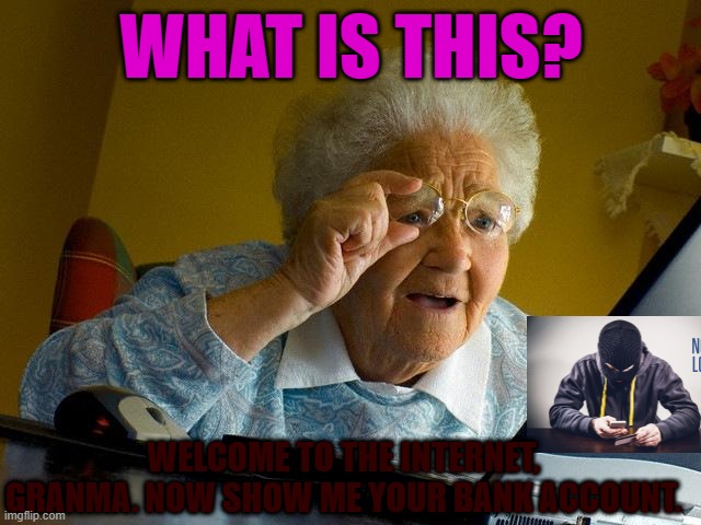 Grandma Finds The Internet | WHAT IS THIS? WELCOME TO THE INTERNET, GRANMA. NOW SHOW ME YOUR BANK ACCOUNT. | image tagged in memes,grandma finds the internet | made w/ Imgflip meme maker